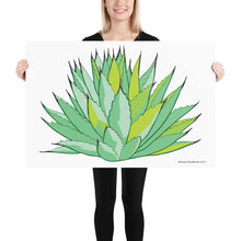 Load image into Gallery viewer, New Mexico Century Plant Poster