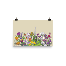 Load image into Gallery viewer, California Wildflower Poster