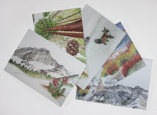 Load image into Gallery viewer, Yosemite Watercolor Postcard Sets
