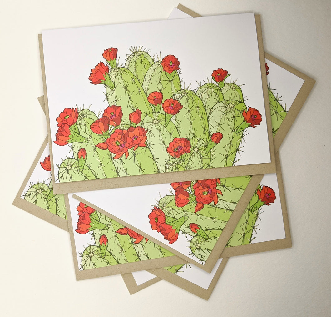 Hedgehog Cactus Greeting Cards