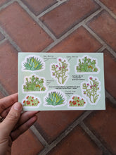 Load image into Gallery viewer, Cactus Sticker Sheet
