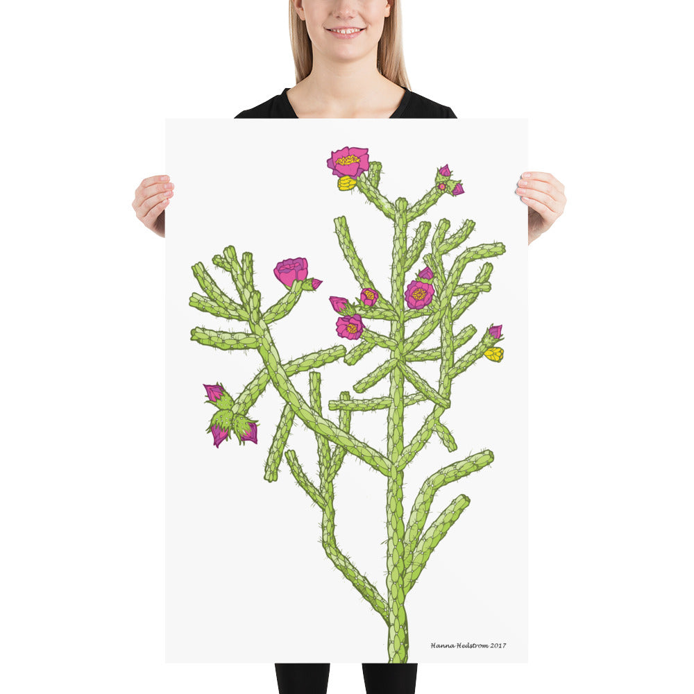 pencil cholla cactus Cane Cholla Poster