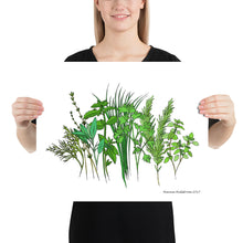 Load image into Gallery viewer, Herb Garden Poster
