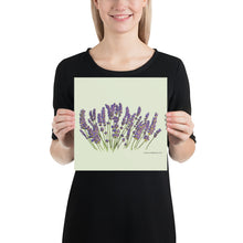 Load image into Gallery viewer, Lavender Poster
