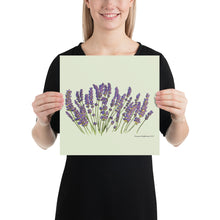 Load image into Gallery viewer, Lavender Poster

