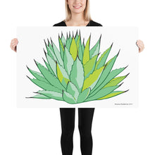 Load image into Gallery viewer, New Mexico Century Plant Poster
